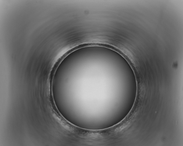 X0000090750982200707271442