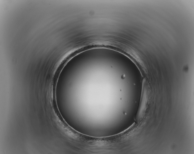 X0000090750984200707271442