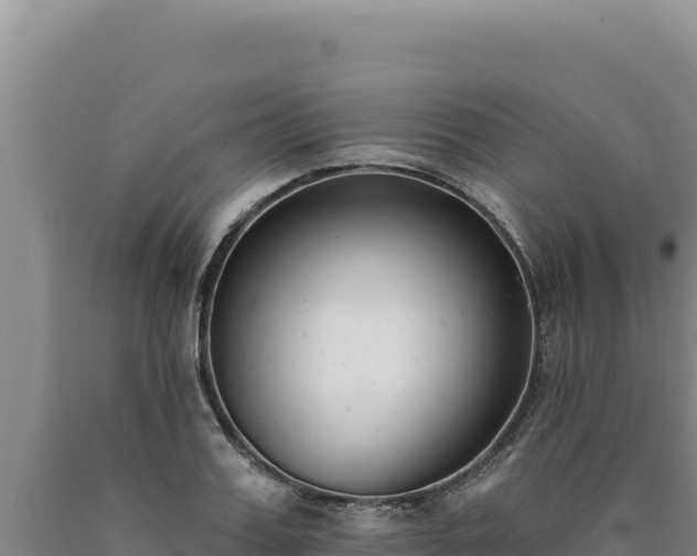 X0000090750987200707271442