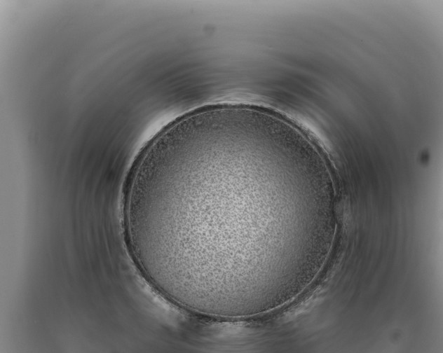 X0000090750990200707271441