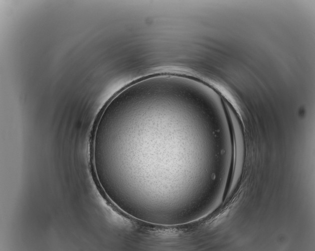 X0000090750999200707271441