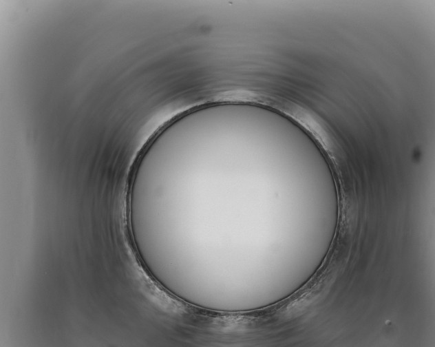 X0000090751000200707271441