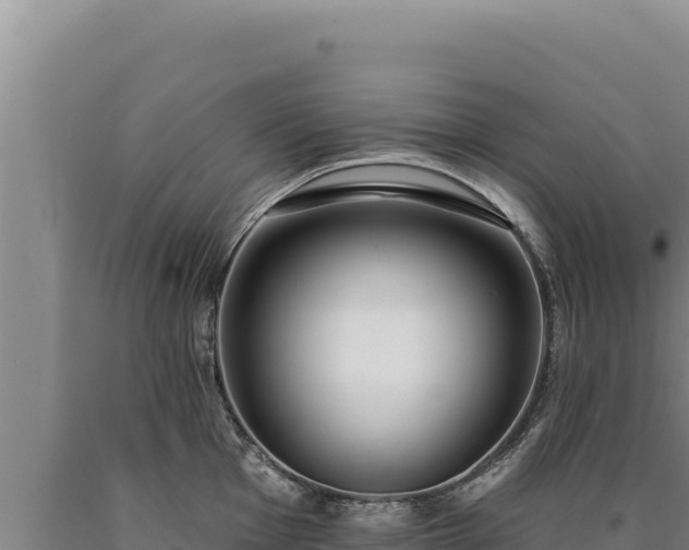 X0000090751001200707271441