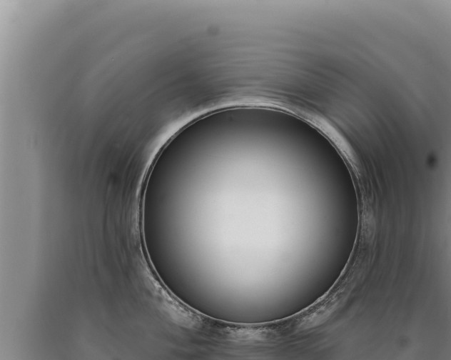 X0000090751004200707271441