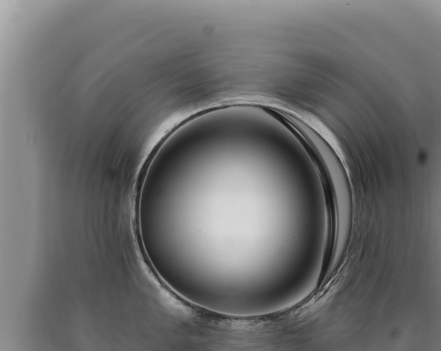 X0000090751005200707271441