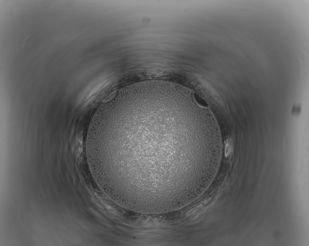 X0000090751011200707271441