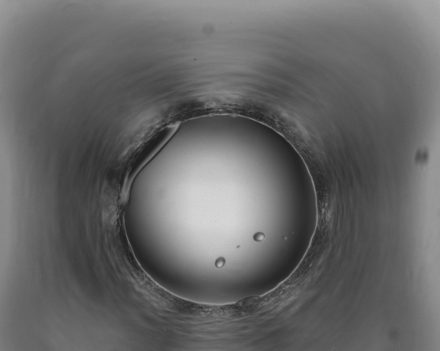 X0000090751012200707271441