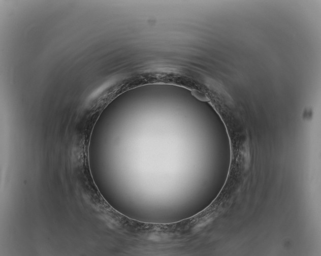 X0000090751014200707271441