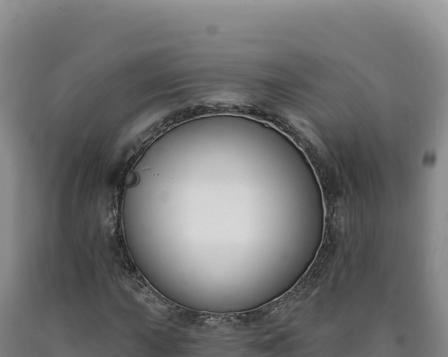 X0000090751015200707271441