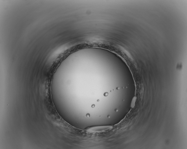X0000090751016200707271441