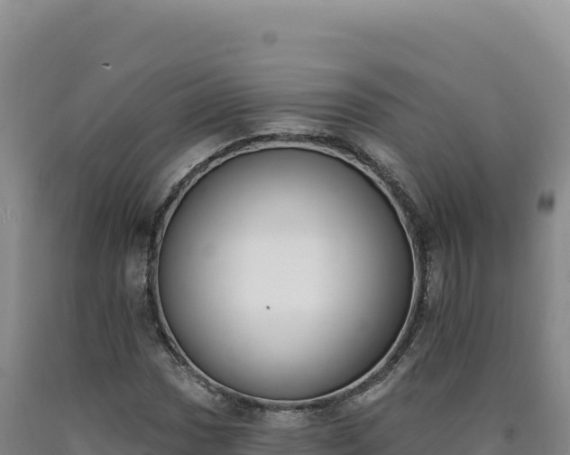 X0000090751017200707271441