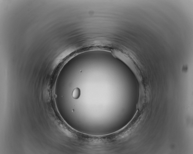 X0000090751018200707271441