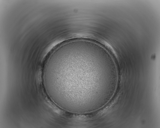 X0000090751019200707271441