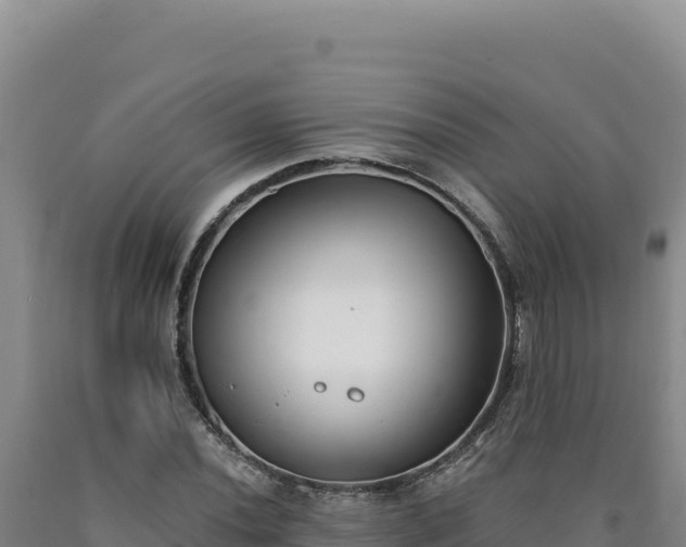 X0000090751020200707271441