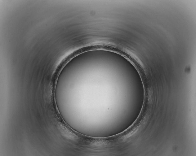X0000090751021200707271441