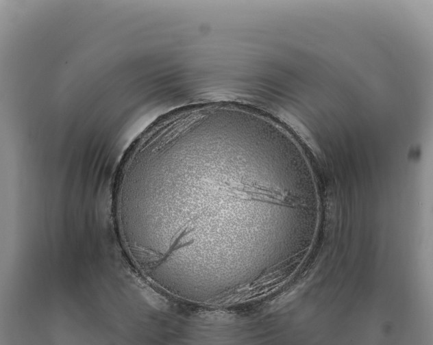X0000090751023200707271441
