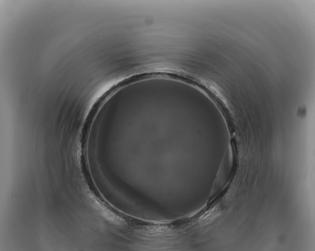 X0000090751024200707271441