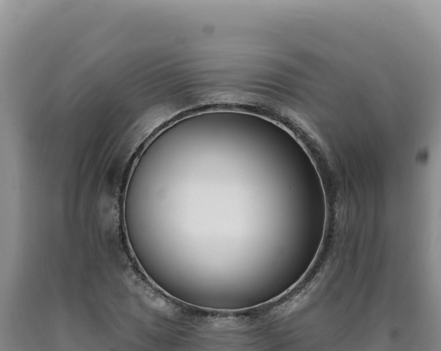 X0000090751025200707271441