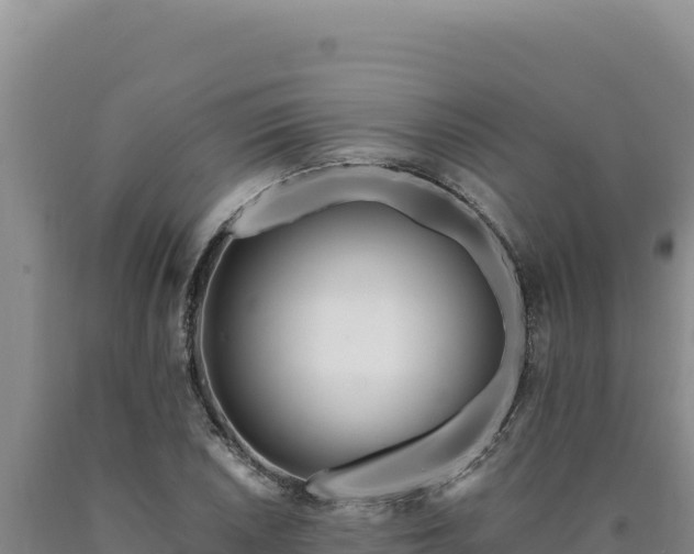 X0000090751026200707271441