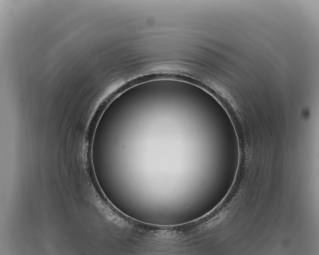 X0000090751029200707271441