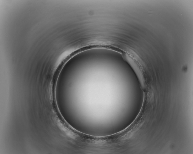 X0000090751030200707271441