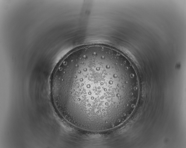 X0000090751031200707271441