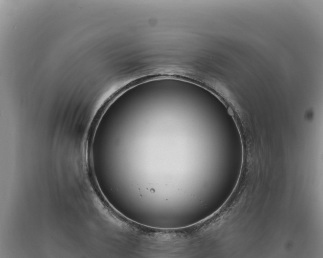 X0000090751032200707271441