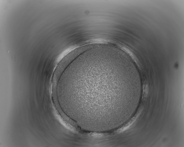 X0000090751034200707271441