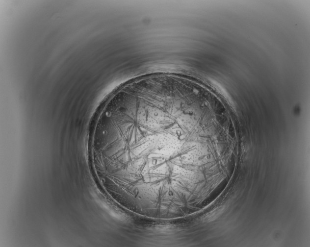 X0000090751035200707271441