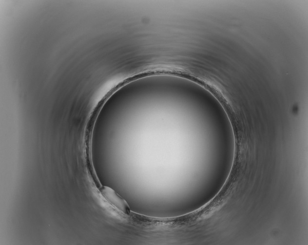X0000090751038200707271441