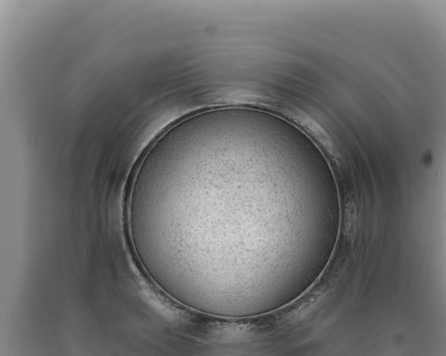 X0000090751039200707271441