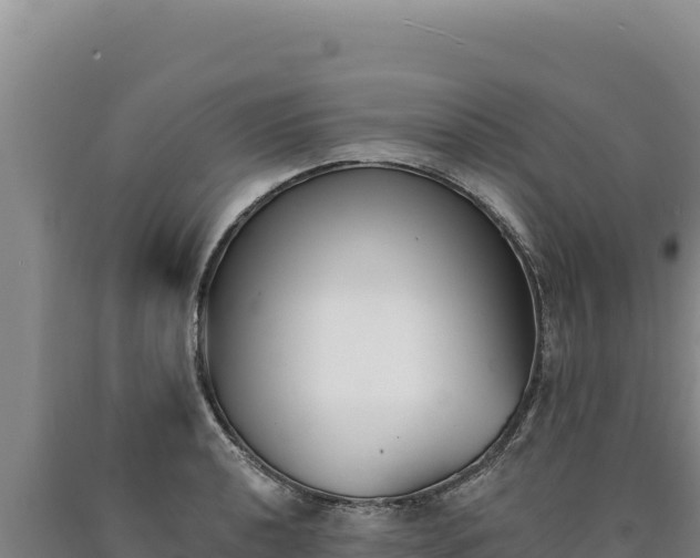 X0000090751040200707271441