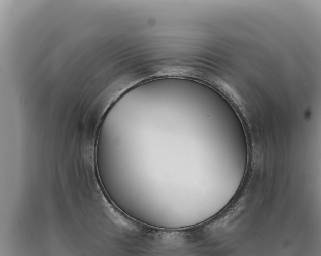 X0000090751041200707271441