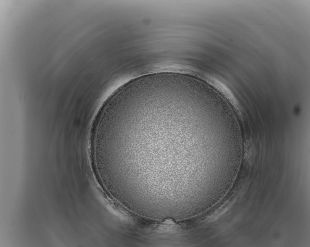 X0000090751043200707271441