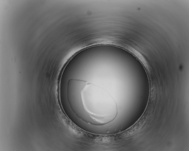 X0000090751051200707271441