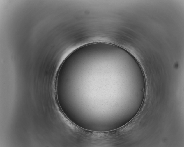 X0000090751056200707271441