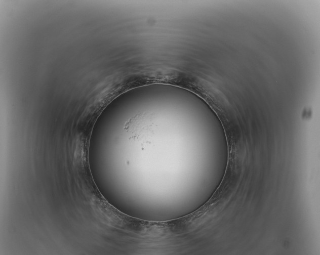 X0000090751058200707271440