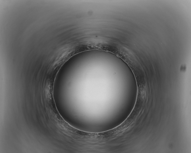 X0000090751060200707271440