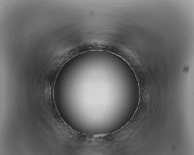 X0000090751061200707271440
