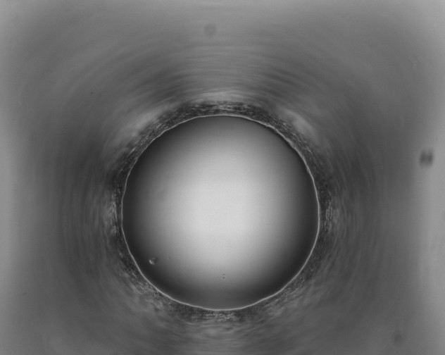 X0000090751062200707271440