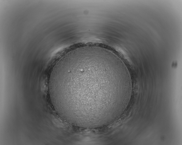 X0000090751063200707271440