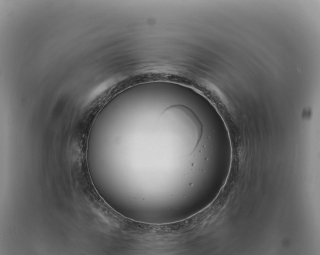 X0000090751064200707271440
