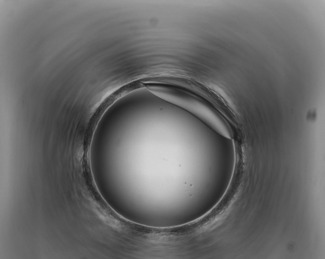 X0000090751065200707271440