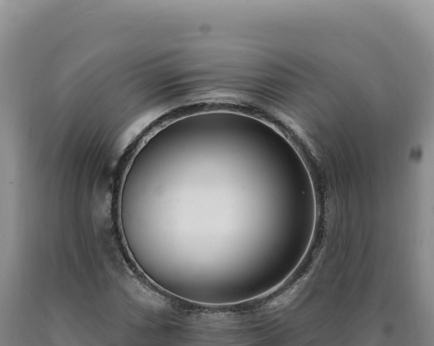 X0000090751066200707271440