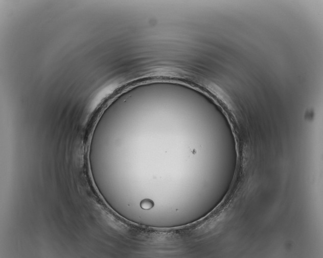 X0000090751067200707271440