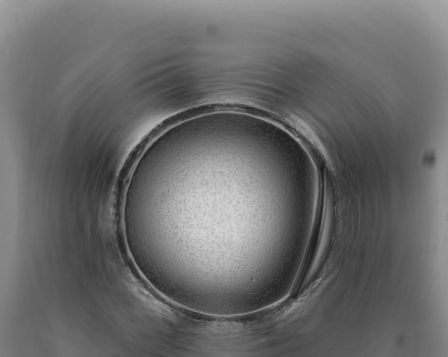 X0000090751068200707271440