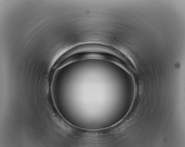 X0000090751069200707271440