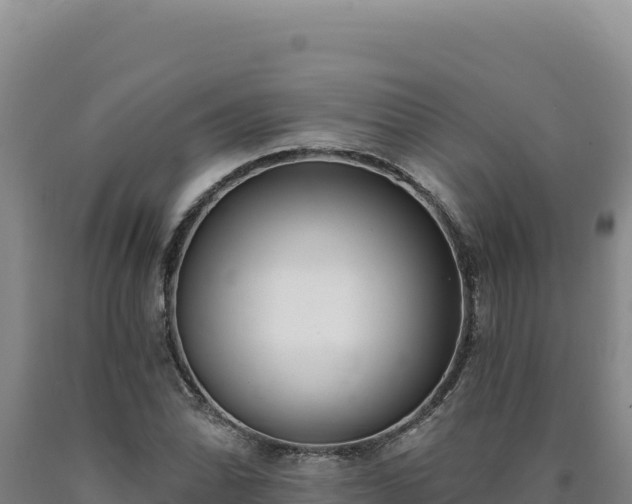 X0000090751070200707271440