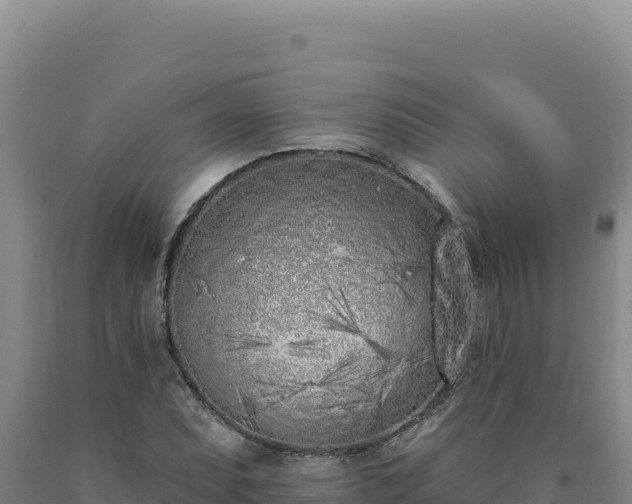 X0000090751071200707271440