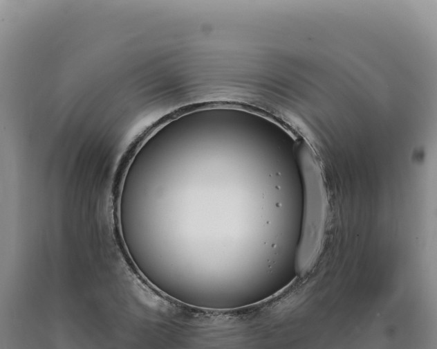 X0000090751072200707271440